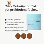 Dog Probiotic Chews - Manufacturer - OEM Salmon Flavor Intestinal Digestive Support