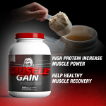 Dog Muscle Supplement - Manufacturer - Customized Healthy Private Label Pet Food