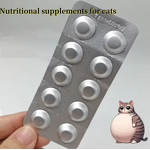 Pet Probiotic Chews - Manufacturer - Private Label Grain-Free High-Protein Digestive