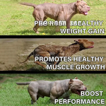 Dog Muscle Supplement - Manufacturer - Customized Healthy Private Label Mascotas