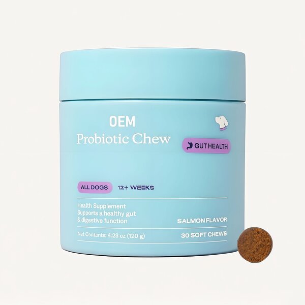 Dog Probiotic Chews - Manufacturer - OEM Salmon Flavor Intestinal Digestive Support