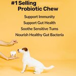 Dog Multivitamin Chews - Manufacturer - Private Label 8-in-1 Probiotic 120 Count