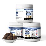 Dog Glucosamine Tablets - Manufacturer - OEM Chondroitin Hip Joint Care Customizable