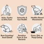 Dog Multivitamin Chews - Manufacturer - Private Label 8-in-1 Probiotic 120 Count