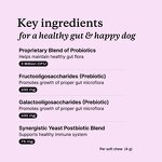 Dog Probiotic Chews - Manufacturer - OEM Salmon Flavor Intestinal Digestive Support