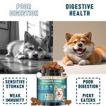 Dog Probiotic Chews - Manufacturer - Pumpkin 6 Probiotics OEM Gut Health Custom