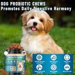 Dog Probiotic Chews - Manufacturer - Pumpkin 6 Probiotics OEM Gut Health Custom