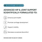 Large Dog Joint Chews - Manufacturer - OEM ODM Glucosamine Chondroitin Hip Support