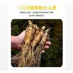 Maca Tablets - Manufacturer - Chinese Herbal Nutritional Supplement Adult