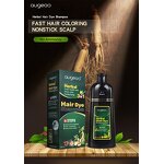 Hair Dye Shampoo Manufacturer - Wholesale OEM Custom Ginseng No Ammonia