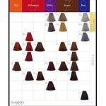 Hair Color Cream Manufacturer - Professional Manufacturers Wholesale 100ml Natural Herbal Organic