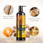 Shampoo and Conditioner Set Manufacturer - Factory Price Retail Salon Professional Natural Argan Oil