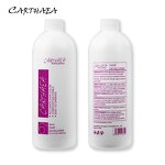 Hair Developer Manufacturer - Fast Shipping Salon Professional No Ammonia Permanent Anti Allergic