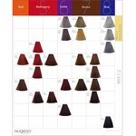 Hair Dye Manufacturer - 100ml Augeas Factory Wholesale Low Ammonia Natural Permanent Professional