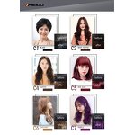 Hair Dye Shampoo Manufacturer - MEIDU 500ml Ammonia Free Herbal Permanent