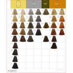 Hair Dye Manufacturer - 100ml Augeas Custom Logo Natural Permanent Low Ammonia China Black