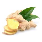 Ginger Tea Bags Manufacturer - Bulk OEM LOGO Natural Organic Herbal with Lemon