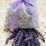 Lavender Tea Manufacturer - Wholesale Blue New Harvested Loose Flowers Various Pack