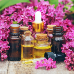 Slimming Essential Oil Manufacturer - Private Label Tea Tree & Ginger for Cellulite