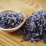 Lavender Tea Manufacturer - Wholesale Blue New Harvested Loose Flowers Various Pack