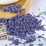 Lavender Herb Tea Manufacturer - Wholesale Fresh Dried Flower for Pillow