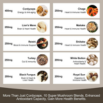 Lion's Mane Gummies Manufacturer - OEM Private Label Ekon Organic Complex for Adults