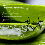 Fat Loss Pills Manufacturer - OEM Private Logo Appetite Suppressant for Slimming