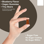 Lion's Mane Gummies Manufacturer - OEM Private Label Ekon Organic Complex for Adults