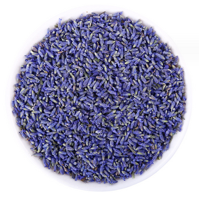 Lavender Herb Tea Manufacturer - Wholesale Fresh Dried Flower for Pillow