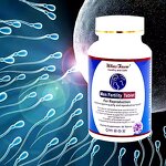 Men's Fertility Tablets Manufacturer - OEM for Reproduction Natural Organic Ginseng