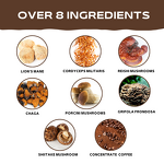 Mushroom Coffee Powder Manufacturer - Hot Selling Instant for Improve Energy