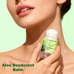 Aloe Deodorant Balm - Manufacturer - Private Label Aloe Barbadensis Gentle Skin Freshness