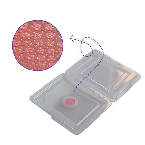 Sleep Aid Patch - Manufacturer - 2026 Microcrystal Melatonin Dissolving Vegan