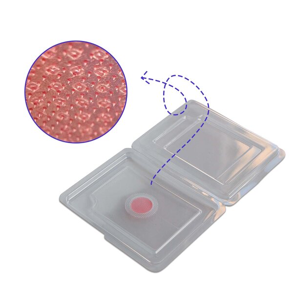 Sleep Aid Patch - Manufacturer - 2026 Microcrystal Melatonin Dissolving Vegan