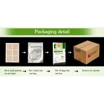 Weight Loss Patch - Manufacturer - 2025 Trending Guarana Transdermal 100% Natural