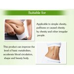 Weight Loss Patch - Manufacturer - Wholesale OEM Guarana Transdermal Absorption