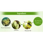 Guarana Slim Patch - Manufacturer - OEM Private Label ISO Block Grese Sugar Starch