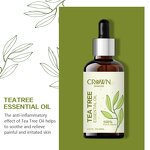 Tea Tree Oil - Manufacturer - Wholesale Organic Soothing Acne Treatment Lightening Moisturizing