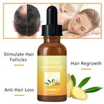 Ginger Hair Growth Oil - Manufacturer - Natural Revitalizing Scalp Massage Anti Hair Loss Repair