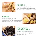 Ginger Hair Growth Serum - Manufacturer - Private Label Natural Organic Anti-Loss Regrowth Scalp Care