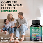 Sea Moss Capsules - Manufacturer - GMP OEM Vegan Seamoss Black Seed Oil Ashwagandha