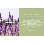 Essential Oil Manufacturer - Lavender Pure Floral Fragrance Water Soluble