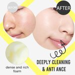 Facial Foam Manufacturer - Private Label OEM Dark Spots Removal Turmeric Lemon