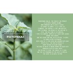 Essential Oil Manufacturer - Natural Organic Patchouli for Mood Relaxation
