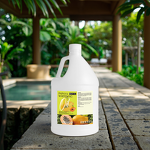 Body Oil Manufacturer - OEM/ODM Gallon Papaya Essence Whitening Hydrating