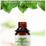 Essential Oil Manufacturer - Natural Organic Patchouli for Mood Relaxation