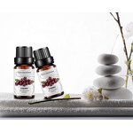 Essential Oil Manufacturer - Wholesale Private Label Long Lasting Cherry Fragrance