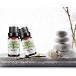 Essential Oil Manufacturer - Natural Organic Patchouli for Mood Relaxation