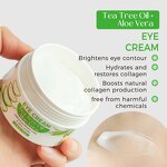 Eye Cream Manufacturer - Organic Green Tea & Tree Oil Aloe Vera Anti-Aging