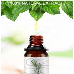 Essential Oil Manufacturer - Rosemary for Calm Mood & Skin Moisturizing